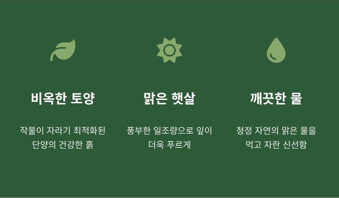 박스단위 상추 1box 2